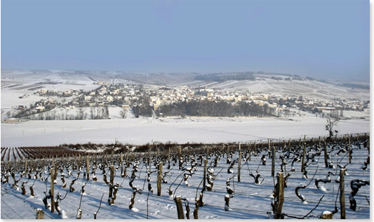 Felix Domaine under snow